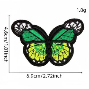 Large butterfly patch #17