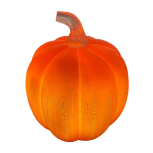 Pumpkin large
