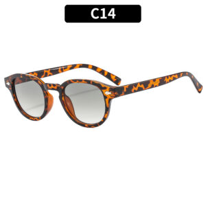 C14-hawksbill box gradient green