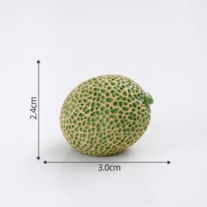19# Hami Melon / Fruit House Large Size 60