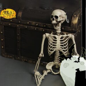 oly-439990ed19973af6a823cf0f568728d4 Wholesale Plastic Halloween Skeleton Decorative Accent 70cm Party Resale