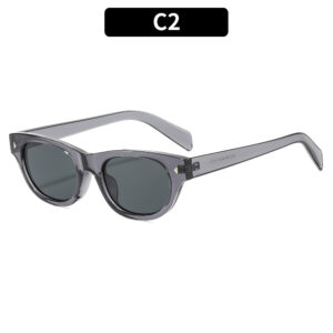 C2-Transparent Gray Frame Gray Sheet