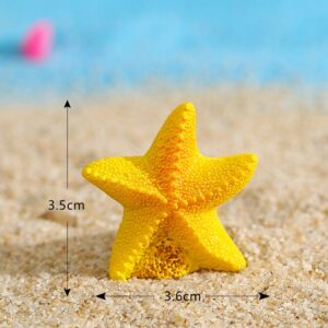 Starfish / Seaside series