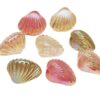 oly-481307eb9d95b3955c920cda58d112f8 Wholesale Colorful Acrylic Scallop Beads for DIY Jewelry Keychain Bag Charm Car Accessory Resale