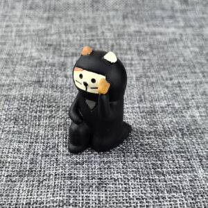 Ninja cat