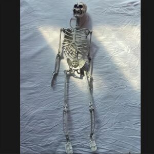 70cm