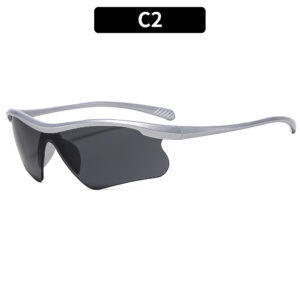C2-silver frame gray piece
