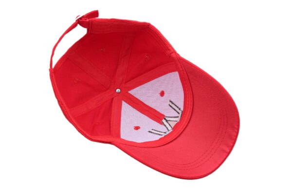 oly-4fbdf8c15c1454d0b8c74be87a46eee0 Wholesale Anime Cosplay Red Embroidery Baseball Cap Sunshade Hat for Party