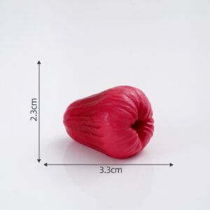#9 Wax Apple / Fruit House Large Size 60