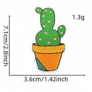 Cactus cloth patch 6#
