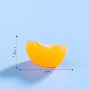 26# One slice of orange pulp / Fruit House 48