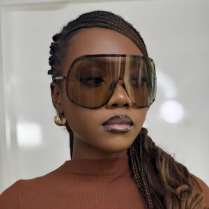 Wholesale Stylish Large Frame Sunglasses UV400 Protection Full Frame Fashion Accessory for Women