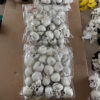Wholesale Halloween Skull Decoration Hanging Rope Style Plastic Resin for Haunted House Home Decor