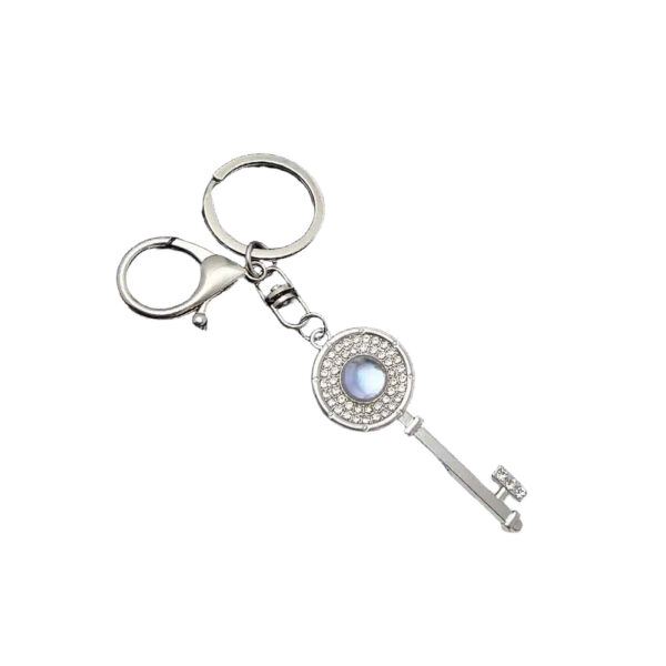 oly-5bb60684f42b85ecbc3c3373d460e370 Wholesale Metal Diamond encrusted Keychain Ins Style Trendy Design for Bag Car Key Fashion Accessory