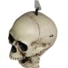oly-5d7f12b6bd6bf3c89a58c878e435b7c3 Wholesale Plastic Halloween Skeleton Decorative Accent 70cm Party Resale
