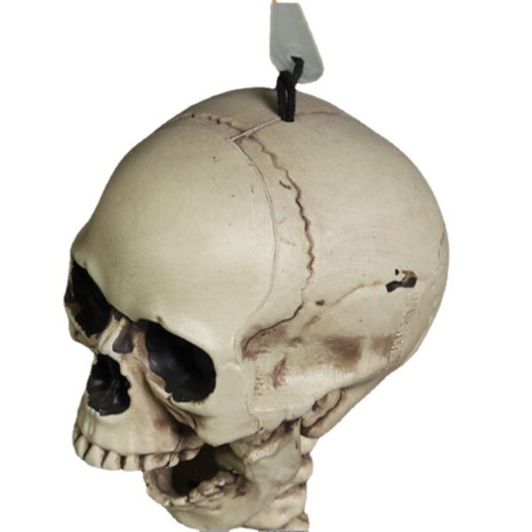 oly-5d7f12b6bd6bf3c89a58c878e435b7c3 Wholesale Plastic Halloween Skeleton Decorative Accent 70cm Party Resale