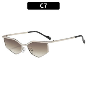 C7-Silver Frame Elephant Gray