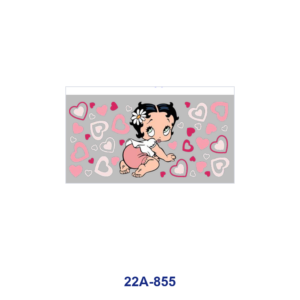 22A-855 / 5pcs