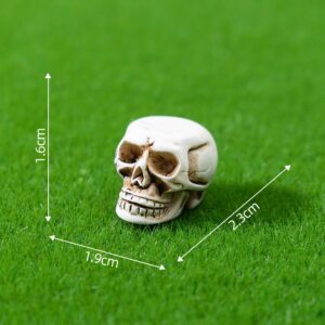 5 # Skull / Halloween cat