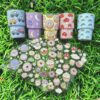 Wholesale 8pcs Bright Floral 3oz Tumbler Stickers Wrap OLY Exclusive