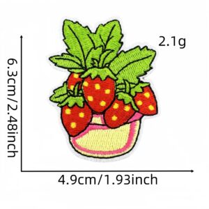 Strawberry cloth patch 10#