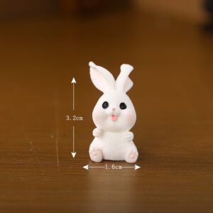 Sitting rabbit / Rabbit paradise