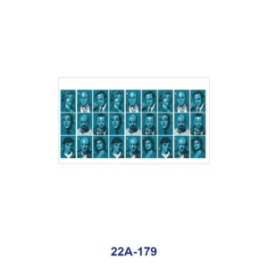 22A-179 / 5pcs