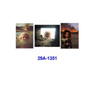 29A-1351 / 5pcs