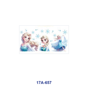 17A-657 / 5pcs