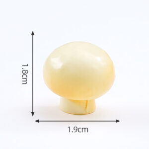 3#Oral mushrooms / Food and play mushroom