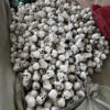 Wholesale Halloween Skull Decoration Hanging Rope Style Plastic Resin for Haunted House Home Decor
