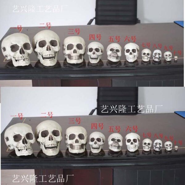 Wholesale Plastic Skull Halloween Decorative Accent for Party Home Decor