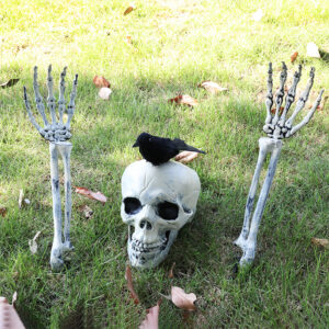 Skull and Crow