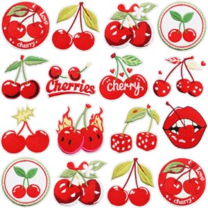 oly-7b223674dddbae54c92e6dd4ae51962f Wholesale Cherry Embroidered Patch Decorative Iron-On Applique Fashion Accessory Gift