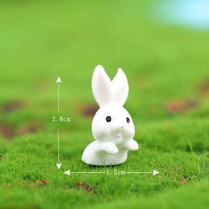No. 7 small half-length rabbit (in the bamboo basket) / Rabbit paradise