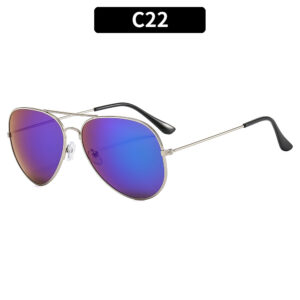 C22-Silver Frame Ice Blue