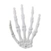 oly-7c48e7a863d930892633074701cc44e1 Wholesale Plastic Skeleton Hand Prop Pair - Halloween Decorative Accent for Party Decor