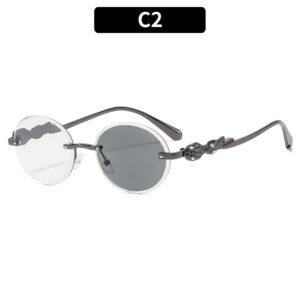 C2-Gun Frame Color-Changing Gray
