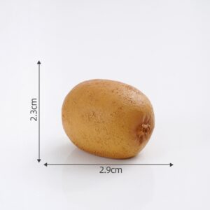 21# Kiwi / Fruit House Large Size 60