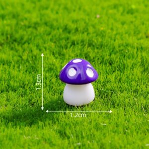Size 7, Medium, Six-point Purple / Mushroom Series 29
