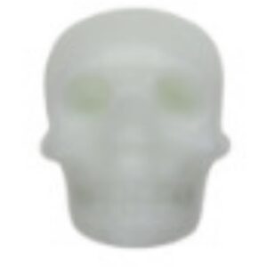 Noctilucent Skull
