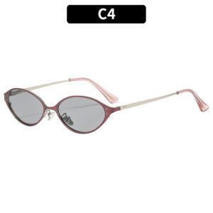 C4 - Purple frame, light gray accents