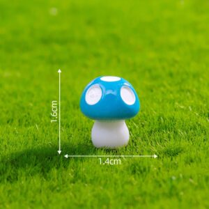 Size 3 Large Five O'Clock Sky Blue / Mushroom Series 29