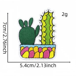 Cactus cloth patch 1#