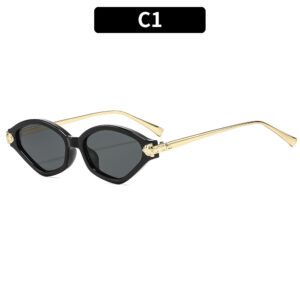 C1 - Black frame with gray accents