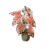 oly-84139c83728bdf91880650f06d15ba4d Wholesale Stylish Red Leaf Embroidery Patches Polyester Thread DIY Clothing Decoration Resale