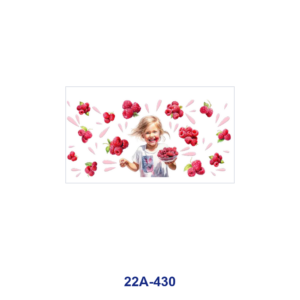22A-430 / 5pcs