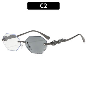 C2-Gun Frame Color-Changing Gray