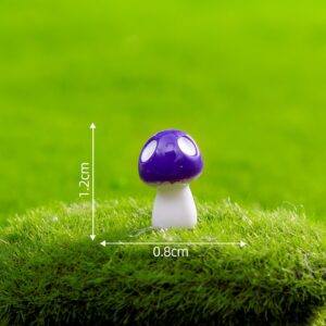 Size 26, small, 3 purple / Mushroom Series 29