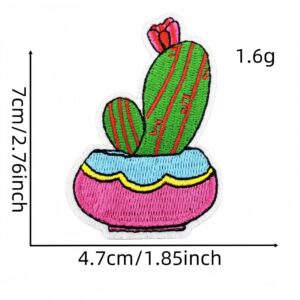 Cactus cloth patch 9#